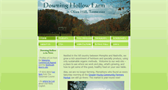 Desktop Screenshot of downinghollowfarm.com