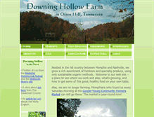 Tablet Screenshot of downinghollowfarm.com